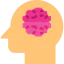 Intelligence icon 64x64
