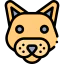 Pet icon 64x64