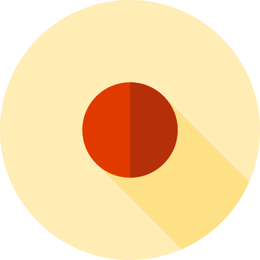 Rec icon