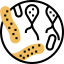 Bacteria icon 64x64