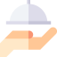 Food tray icon 64x64