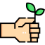 Sprout icon 64x64