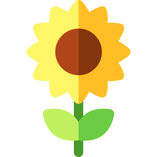 Sunflower icon