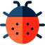Insect іконка 64x64
