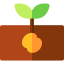 Seed ícono 64x64