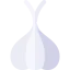 Onion icon 64x64