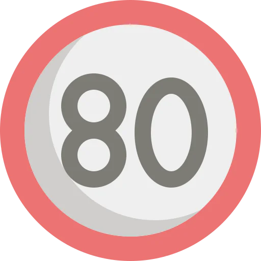 Speed icon