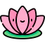 Lotus icon 64x64