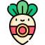 Radish icon 64x64