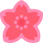 Sakura アイコン 64x64