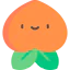 Plum icon 64x64