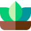 Lotus flower icon 64x64