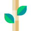 Bamboo icon 64x64