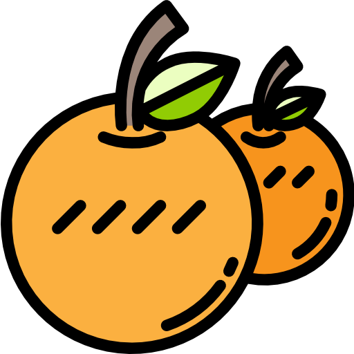 Orange icon