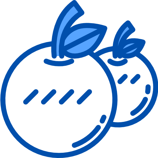 Orange icon