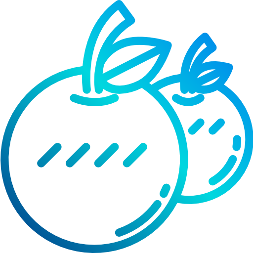 Orange icon