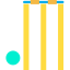 Cricket icon 64x64