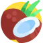 Coconut icon 64x64