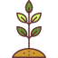 Sprout icon 64x64