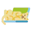 Cat icon 64x64