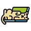 Cat icon 64x64