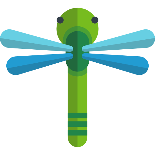 Dragonfly icon