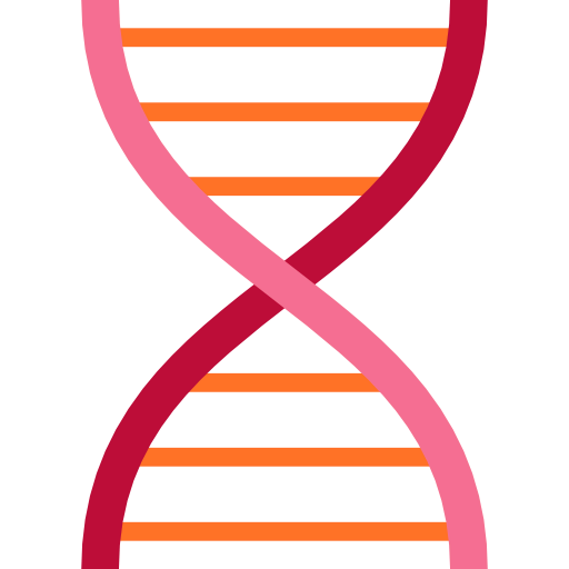 Dna structure icon
