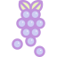 Grapes icon 64x64