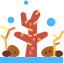 Coral icon 64x64