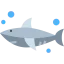 Shark icon 64x64