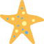 Starfish icon 64x64
