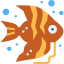 Angelfish icon 64x64