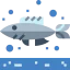 Fish icon 64x64