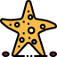 Starfish icon 64x64