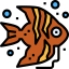 Angelfish icon 64x64