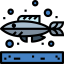Fish icon 64x64