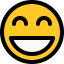 Smiling icon 64x64