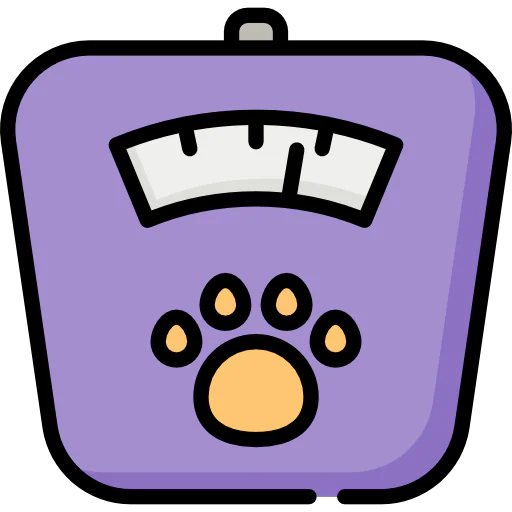 Scale icon