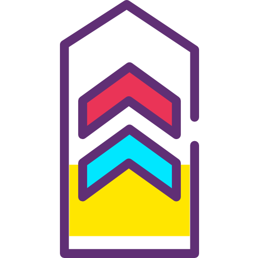 Chevron icon
