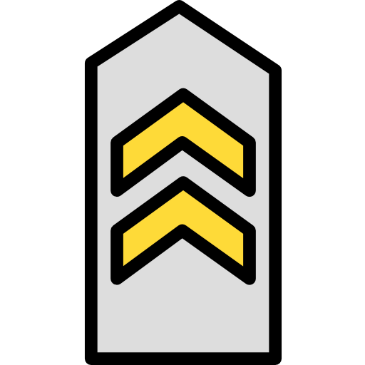 Chevron icon