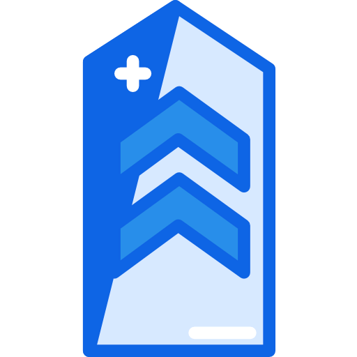 Chevron icon