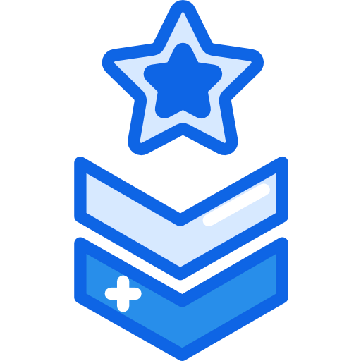 Chevron icon