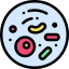 Bacteria icon 64x64