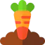 Carrot Ikona 64x64