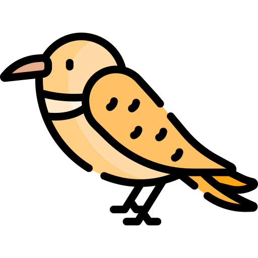 Bird icon