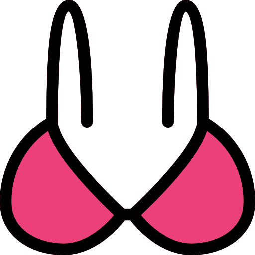 Bra icon