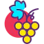 Grapes icon 64x64