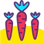 Carrots icon 64x64