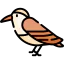 Hummingbird icon 64x64