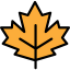Maple leaf 图标 64x64